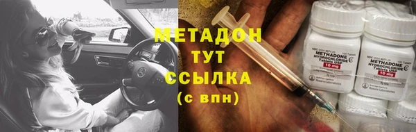 индика Арсеньев