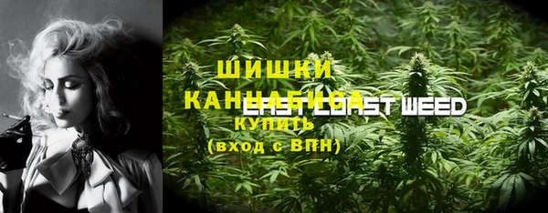 индика Арсеньев