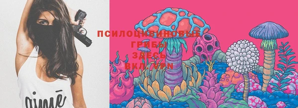 молекула духа Армянск