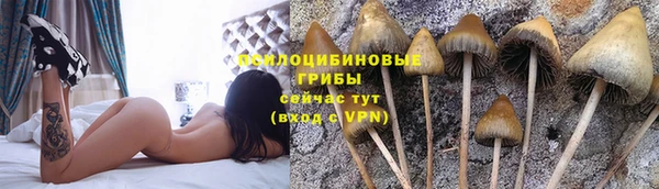 не бодяженный Аркадак