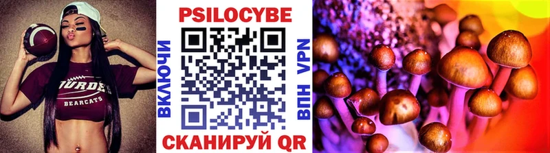 где продают   Омск  Галлюциногенные грибы Psilocybe 